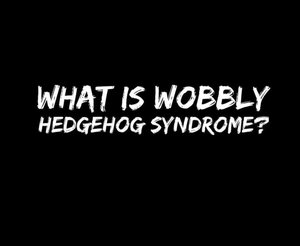 What is wobbly hedgehog syndrome (WHS)?
