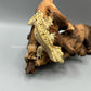 Link - Male Crested Gecko