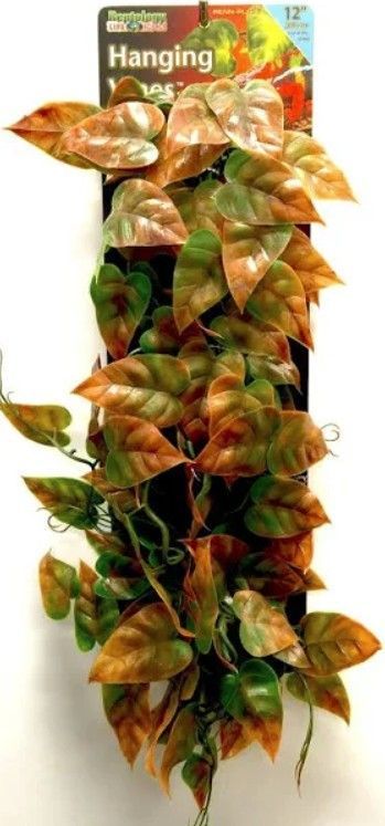 Reptology Hanging Vines Green-Brown