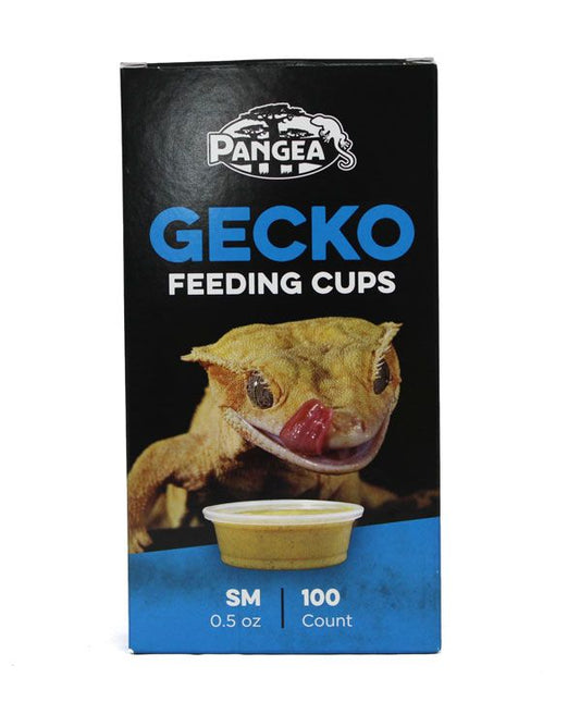 Pangea Gecko Feeding Cup