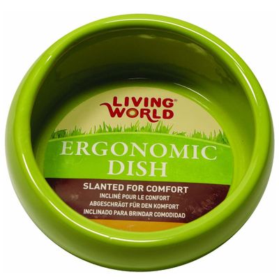 Living World Ergonomic Dish Green