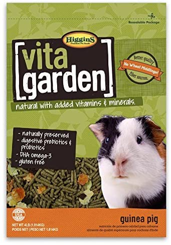 Higgins Vita Garden Guinea Pig